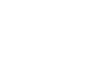 verifica
